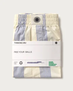 Boxers poplin à rayures bleu