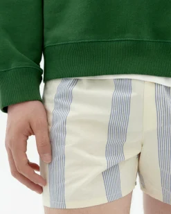 Boxers poplin à rayures bleu