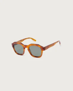 Lunettes de soleil havana Bryant