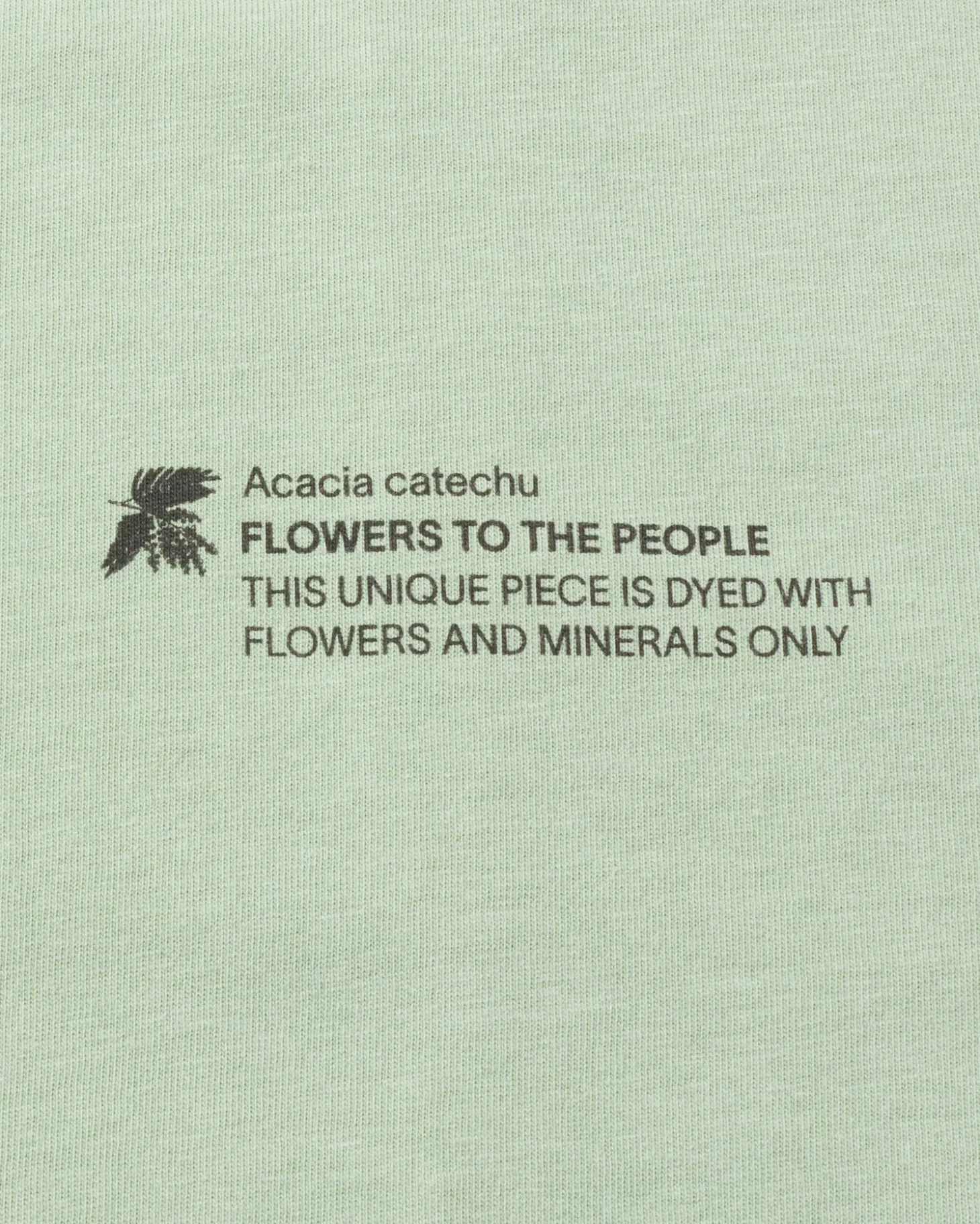 T-shirt acacia unisex teinture naturelle