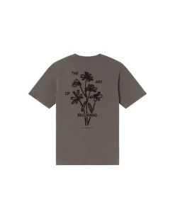 T-shirt gris Becoming